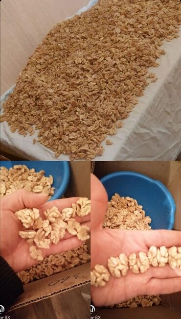 Ləpələr: Soyulmuş qoz ləpəsi. 10 kq karobkada. Toptan satış qiymətə və ünvana — 3