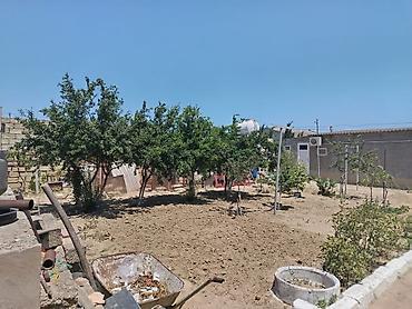 ev ve bag: Satılır: həyət evi Əlaqə nömrəsi: 0506307210 - Tikinti: daş divarlar — 8