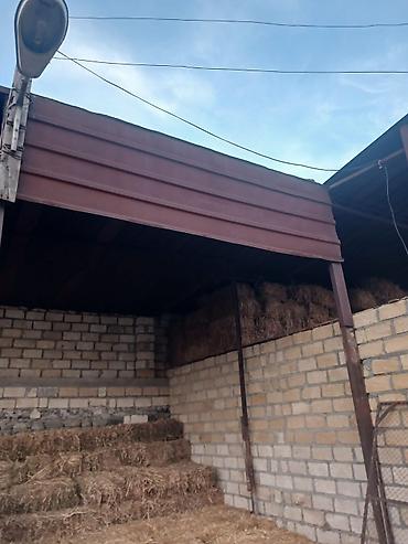 kitab səkilləri profil ucun: Satılır metal dam örtüyü və profil vərəqlər. Şəkillərdə göründüyü — 3