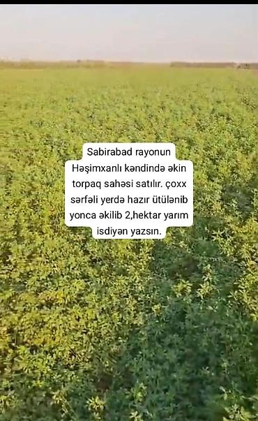 bayilda kirayə ev: Kənd təsərrüfatı — 1