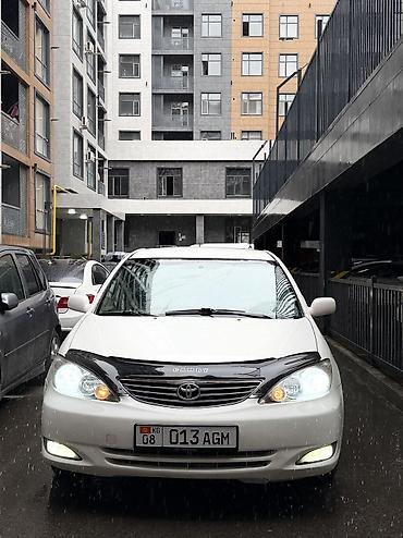 Toyota: Toyota Camry: 2004 г., 2.4 л, Автомат, Бензин, Седан — 12