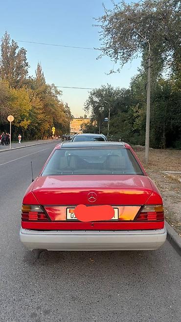 Продажа авто: Mercedes-Benz W124: 1991 г., 2.5 л, Автомат, Дизель, Седан — 1