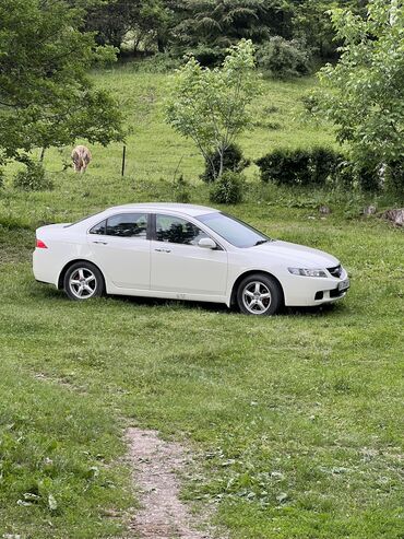 хонда аккорд 2008: Honda Accord: 2003 г., 2 л, Типтроник, Бензин, Седан