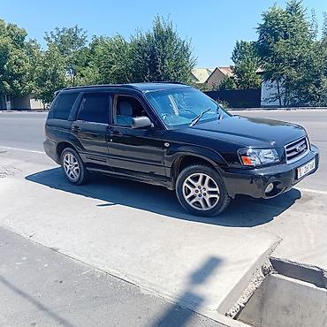 Продажа авто: Subaru Forester: 2003 г., 2 л, Автомат, Бензин, Кроссовер — 2