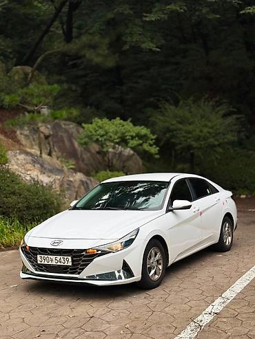 avante 7: Hyundai Avante: 2020 г., 1.6 л, Автомат, Бензин, Седан — 3
