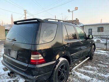 Mercedes-Benz: Mercedes-Benz M-Class: 1999 г., 3.2 л, Автомат, Газ, Внедорожник