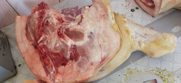 мясо вырезка: Свинина домашняя Тушами 320 сом/кг полутушами 330 сом/кг ляжками 350