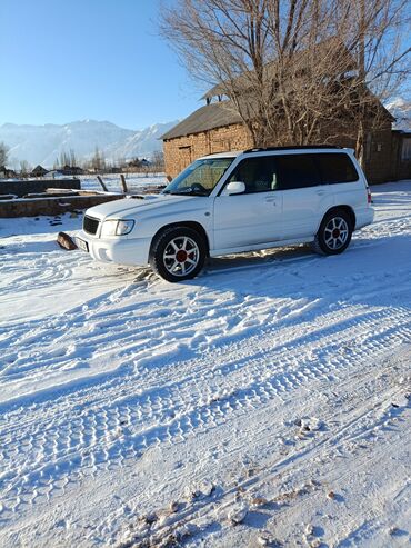 значки на авто: Subaru Forester: 2000 г., 2 л, Автомат, Газ, Внедорожник