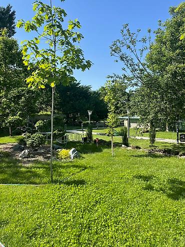 Продажа дач: Панорама! Продаются 6 совмещенных дач на Панораме! 36 соток. Идеально — 10