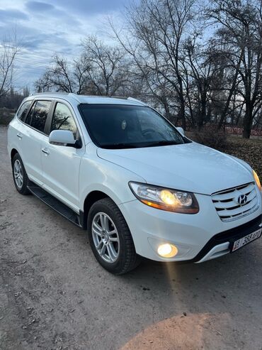 белый byd e5: Hyundai Santa Fe: 2009 г., 2.2 л, Автомат, Дизель, Кроссовер
