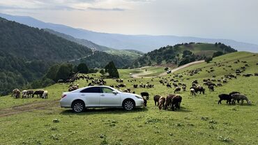 lexus es 2015: Lexus ES: 2009 г., 3.5 л, Автомат, Газ, Седан