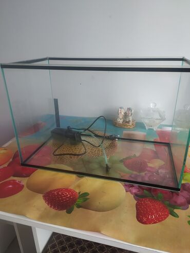 живая рыба в бишкеке: Продаю аквариум с фильтром, подсветкой и компрессором на 40 литров в