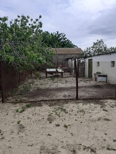 Həyət evləri və villaların satışı: 3 otaqlı, 90 kv. m, Kredit yoxdur, Təmirsiz -da lalafo.az — 29 Həyət evləri və villaların satışı: 3 otaqlı, 90 kv. m, Kredit yoxdur, Təmirsiz — 29