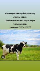 на дом работа швея: Кызматкер талап кылынат, Төлөм Ай сайын