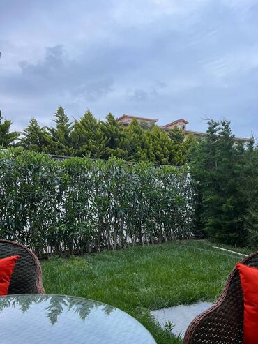 Həyət evləri və villaların satışı: Nardaran qəs. 1 otaqlı, 60 kv. m, Yeni təmirli — 7