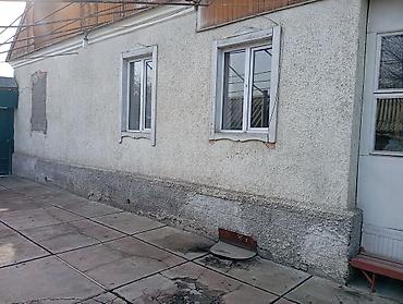 Деревянные штакетники: Деревянные штакетники, Покраска забора — 7