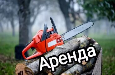 пила ленточная: Сдам в аренду Перфораторы, Пилы, пчелки