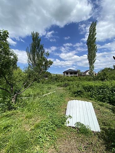 24: 16 соток, Для строительства, Договор купли-продажи, Красная книга — 5