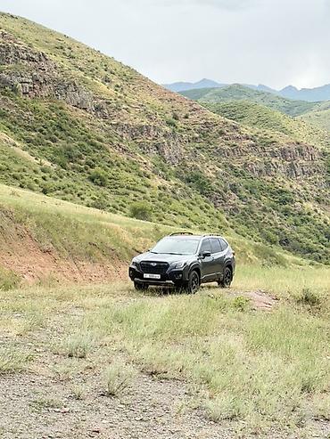 wilderness: Subaru Forester: 2023 г., 2.5 л, Вариатор, Бензин, Кроссовер — 3