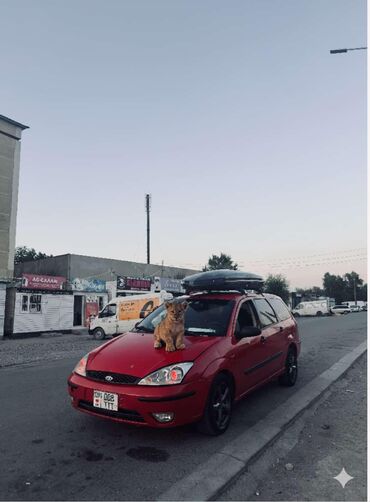 Ford: Ford Focus: 2002 г., 1.8 л, Механика, Бензин, Универсал — 12