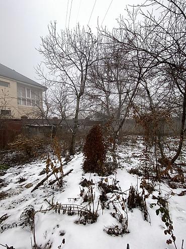 Продажа участков: 9 соток, Красная книга at lalafo.kg — 12 Продажа участков: 9 соток, Красная книга — 12