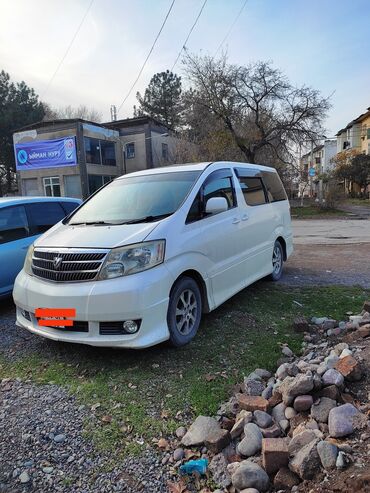 голая под одеялом: Toyota Alphard: 2004 г., 2.4 л, Автомат, Бензин, Минивэн