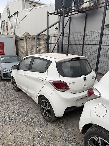 чангам: Changan Benben E-Star: 2024 г., Электромобиль — 3