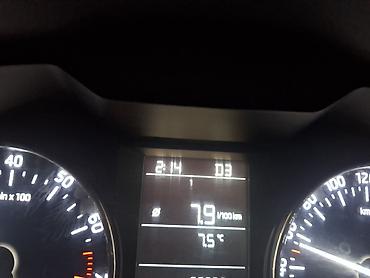 Skoda: Skoda Octavia: 2017 г., Седан — 1