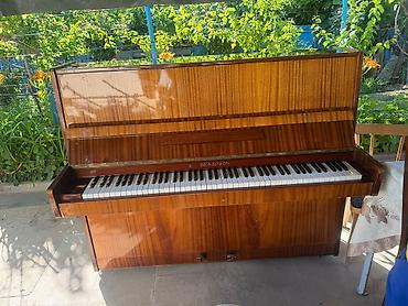 Piano, Belarus, Akustik, İşlənmiş, Ödənişli çatdırılma, Ünvandan götürmə, Pulsuz çatdırılma lalafo.az -da Piano, Belarus, Akustik, İşlənmiş, Ödənişli çatdırılma, Ünvandan götürmə, Pulsuz çatdırılma