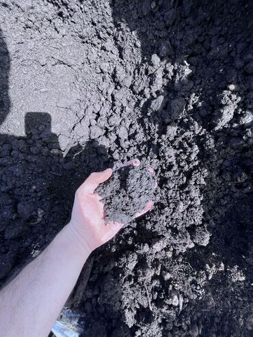 Перегной, навоз: В тоннах, Портер, Зил, Камаз — 3