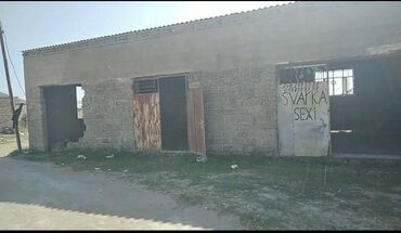 Sex, zavod və fabriklər: Bine gesebesimde. Sovxoxzda. Gurcustallilarin mehlesinde (deyilen — 18