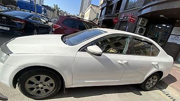 ski: Skoda Octavia: 2015 г., 1.6 л, Автомат, Бензин, Седан — 3