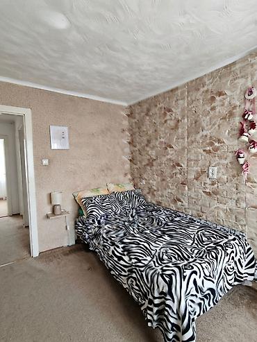Продажа домов: 3 комнаты, 40 м², 3 соток, Бишкек, Аламединский рынок / базар Риэлтор — 9