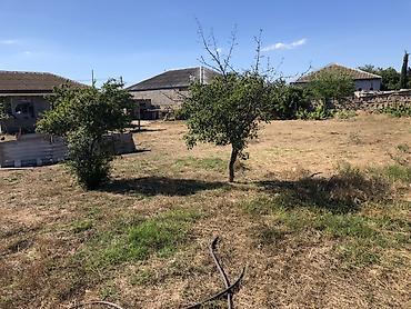 Torpaq sahələrinin satışı: Tikinti -da lalafo.az — 1 Torpaq sahələrinin satışı: Tikinti — 1