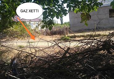 caravan satışı: Kənd təsərrüfatı — 6