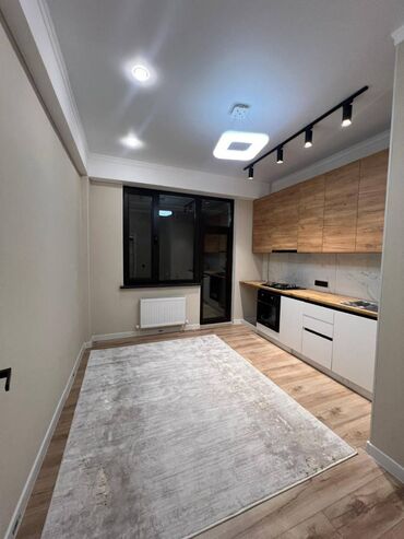 срочно продаётся 1 комнатная квартира в районе парк фучика: 1 комната, 41 м², Элитка, 11 этаж, Евроремонт
