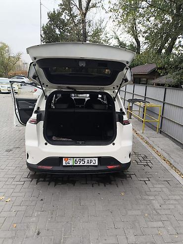 byd chin 2024: Хайкан 2023-жылкы, СОХ 91%, черный салон, пробег 60000км, белый цвет — 5