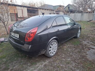 Nissan: Nissan Primera: 2003 г., 1.9 л, Механика, Дизель, Хэтчбэк — 3