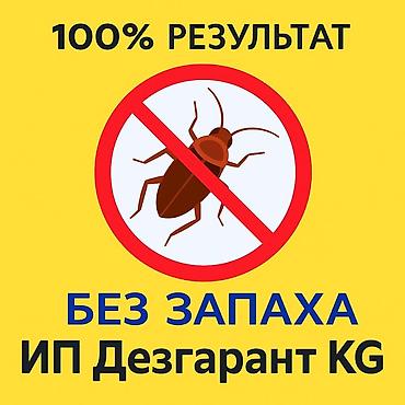 Дезинфекциялоо, дезинсекциялоо, | Бүргөлөр, Канталалар, Кумурскалар, | Үйлөр, Унаа, Жертөлө, ороо