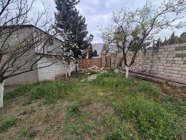 Torpaq sahələrinin satışı: 4 sot, Tikinti, Mülkiyyətçi