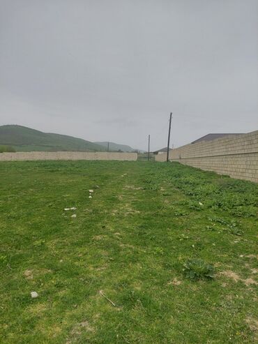 Torpaq sahələrinin satışı: 31 sot, Kənd təsərrüfatı, Kupça (Çıxarış) -da lalafo.az — 9 Torpaq sahələrinin satışı: 31 sot, Kənd təsərrüfatı, Kupça (Çıxarış) — 9