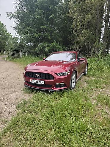 mustang: Ford Mustang: 2017 г., 3.7 л, Автомат, Бензин, Купе — 2