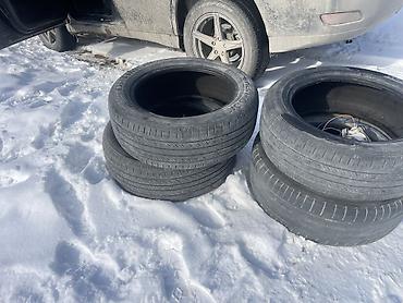 Lexus: Lexus RX: 2003 г., 3 л, Автомат, Бензин, Универсал — 5