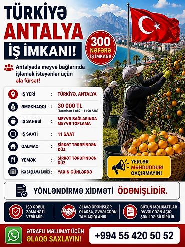 Əməkdaş axtarışı (vakansiyalar): Türkiyədə meyvə bağlarına işçilər lazımdır yeməydi qalmağdı hərbiri — 1