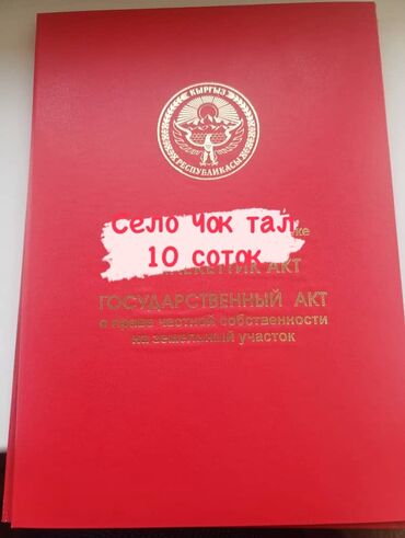 дом в иссык куле: 10 соток, Бизнес үчүн, Кызыл китеп