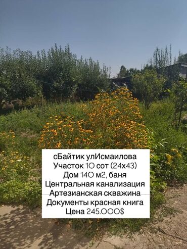 дом село дмитревка: 10 соток, Для бизнеса, Красная книга, Тех паспорт, Договор купли-продажи