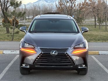 Lexus: Lexus NX: 2019 г., 2 л, Автомат, Бензин, Кроссовер — 19