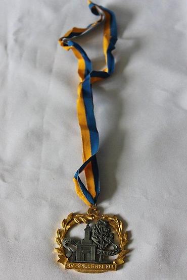 lampe za lovce: STARA MEDALJA IZ PLANINARENJA, AUSTRIJA | Medalja iz planinarenja — 1