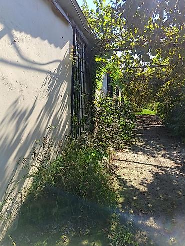 Həyət evləri və villaların satışı: Yaşıl həyətli fərdi ev sahəsi - Geniş həyət: betonlanmış keçid və — 9