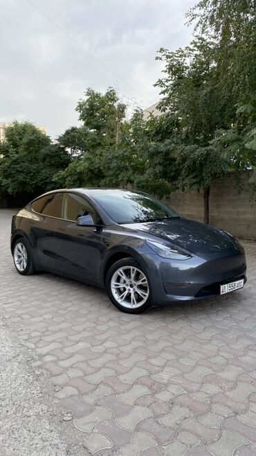 диска черепашка: Tesla Model Y: 2023 г., Автомат, Электромобиль, Кроссовер